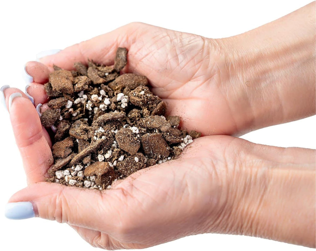 Gardenera Professional Succulent Soil Premium All Purpose Blend | Pre-Mixed Ready to Use for Cactus