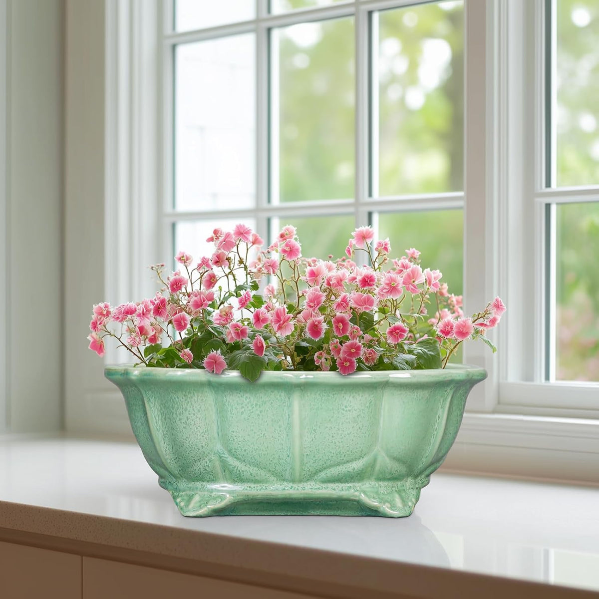 Bonsai Pots 11 Inch - Ceramic Succulent Pots with Drainage Hole, Oval Planter for Indoor Outdoor
