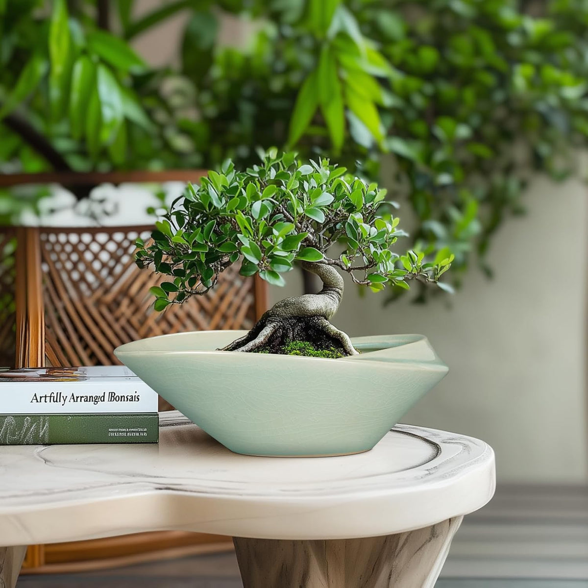 Bonsai Pot - 12 Inch Ceramic Planter Pot with Drainage Hole Large Modern Planter Decorative Glazed