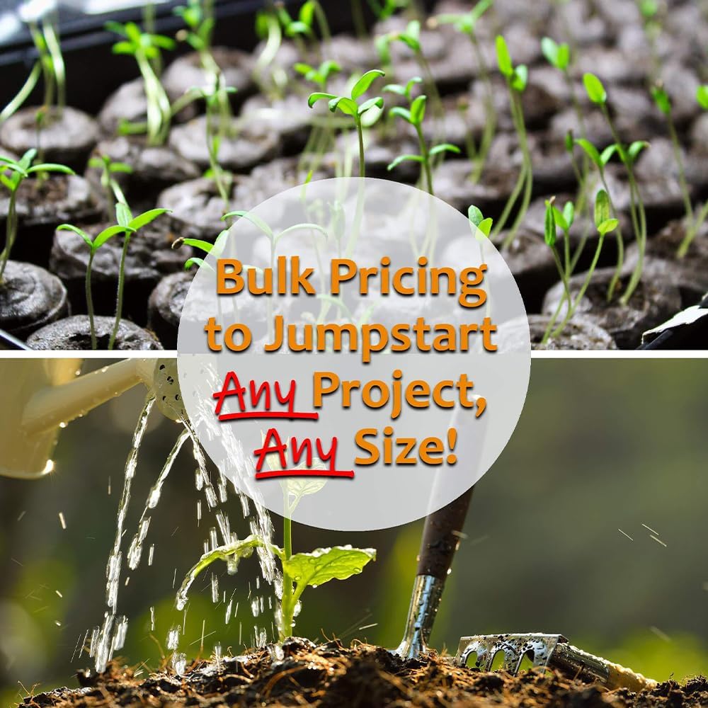 Watermelon Garden Seeds - Jubilee - 25 Lbs Bulk - Non-GMO, Heirloom Vegetable Gardening Fruit Melon