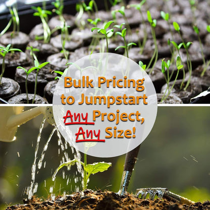 Hummingbird & Butterfly Wildflower Seed Mix - 1 Lb - Wild Flower Seed Mixture: Alyssum, Lemon Mint
