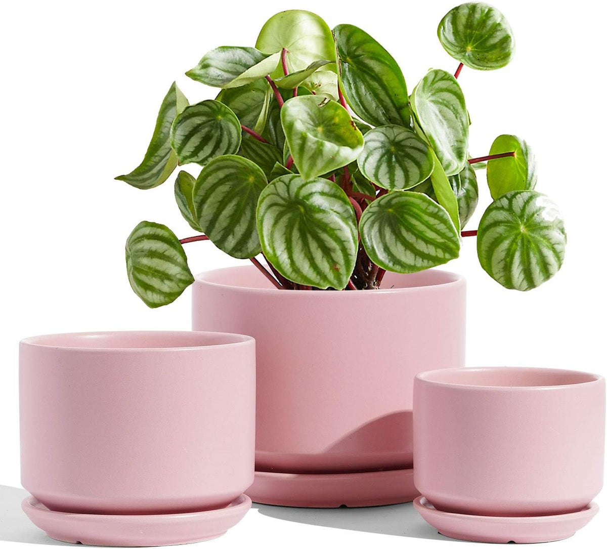 LE TAUCI Ceramic Plant Pots, 4.3+5.3+6.8 inch, Set of 3, Planters with Drainage Hole and Saucer