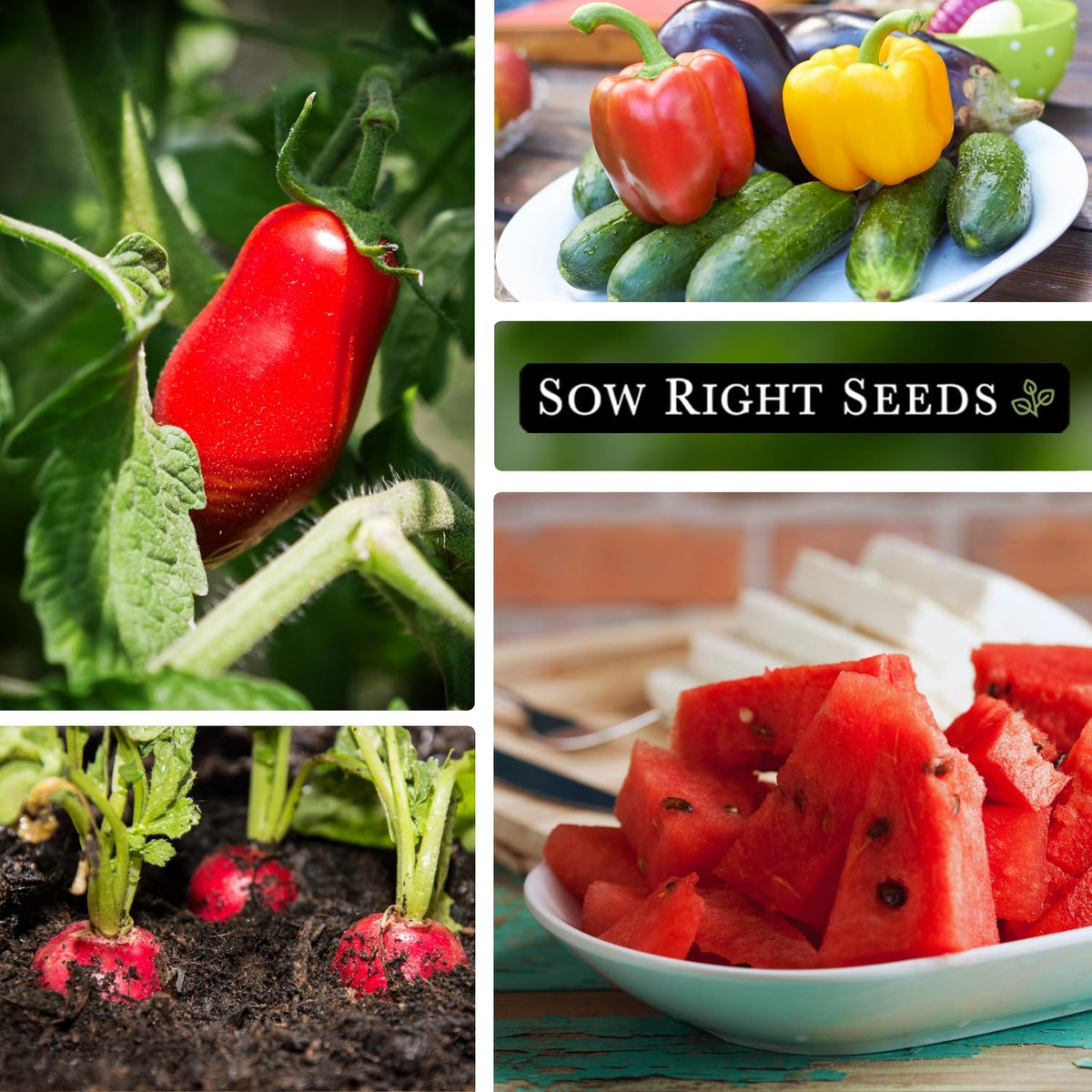 Sow Right Seeds - Classic Vegetable Garden Seed Collection for Planting - Non-GMO Heirloom