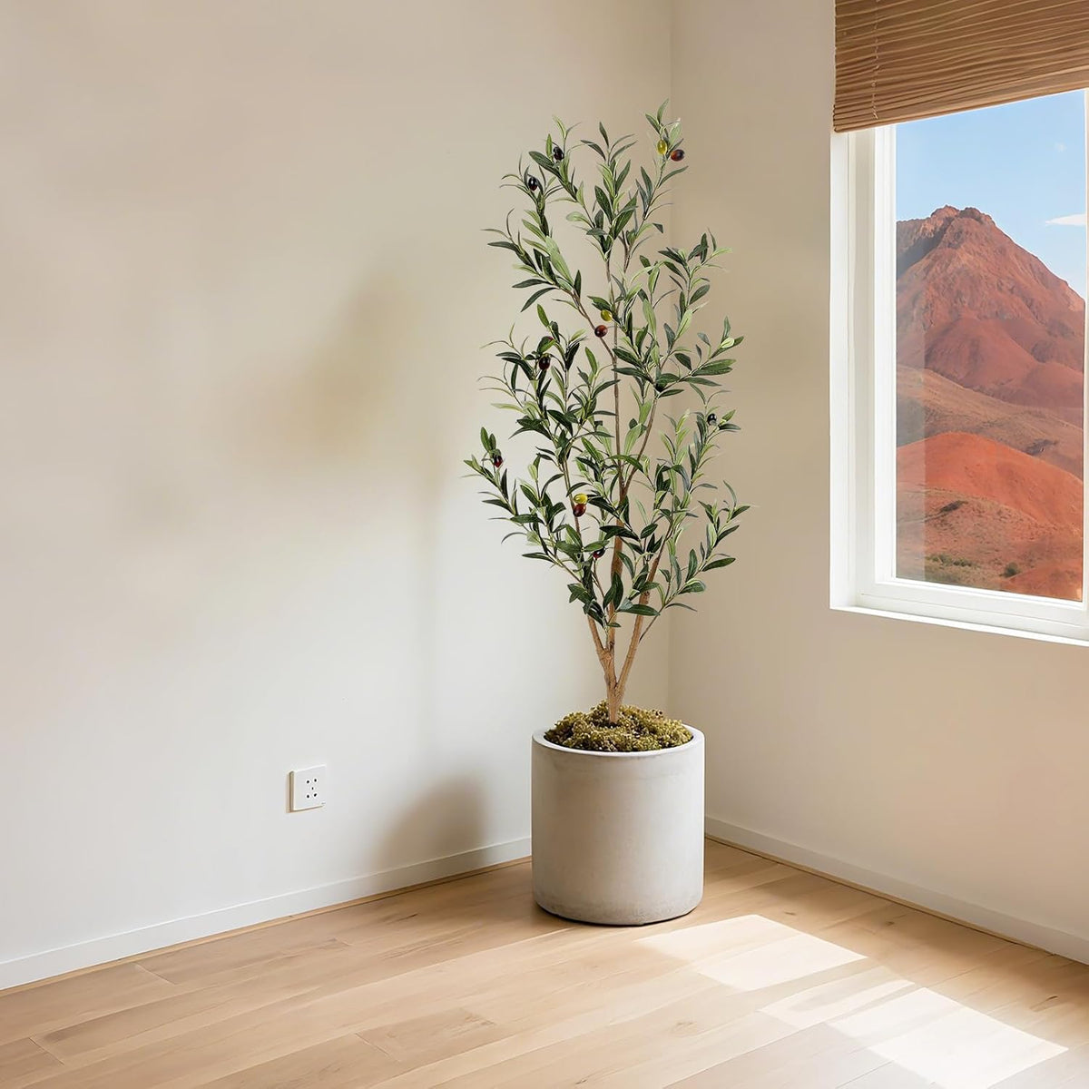 Bellacat Faux Olive Tree 4ft，Olive Trees Artificial Indoor with Natural Wood Trunk and Realistic