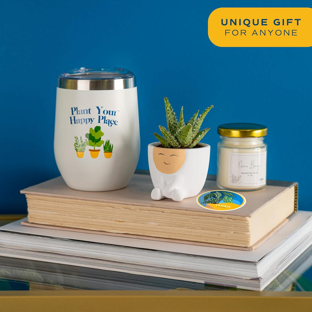 Costa Farms Live Plant Gift Box, Succulent Live Indoor Houseplant, Perfect Birthday and Holiday