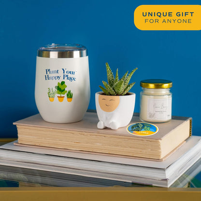 Costa Farms Live Plant Gift Box, Succulent Live Indoor Houseplant, Perfect Birthday and Holiday