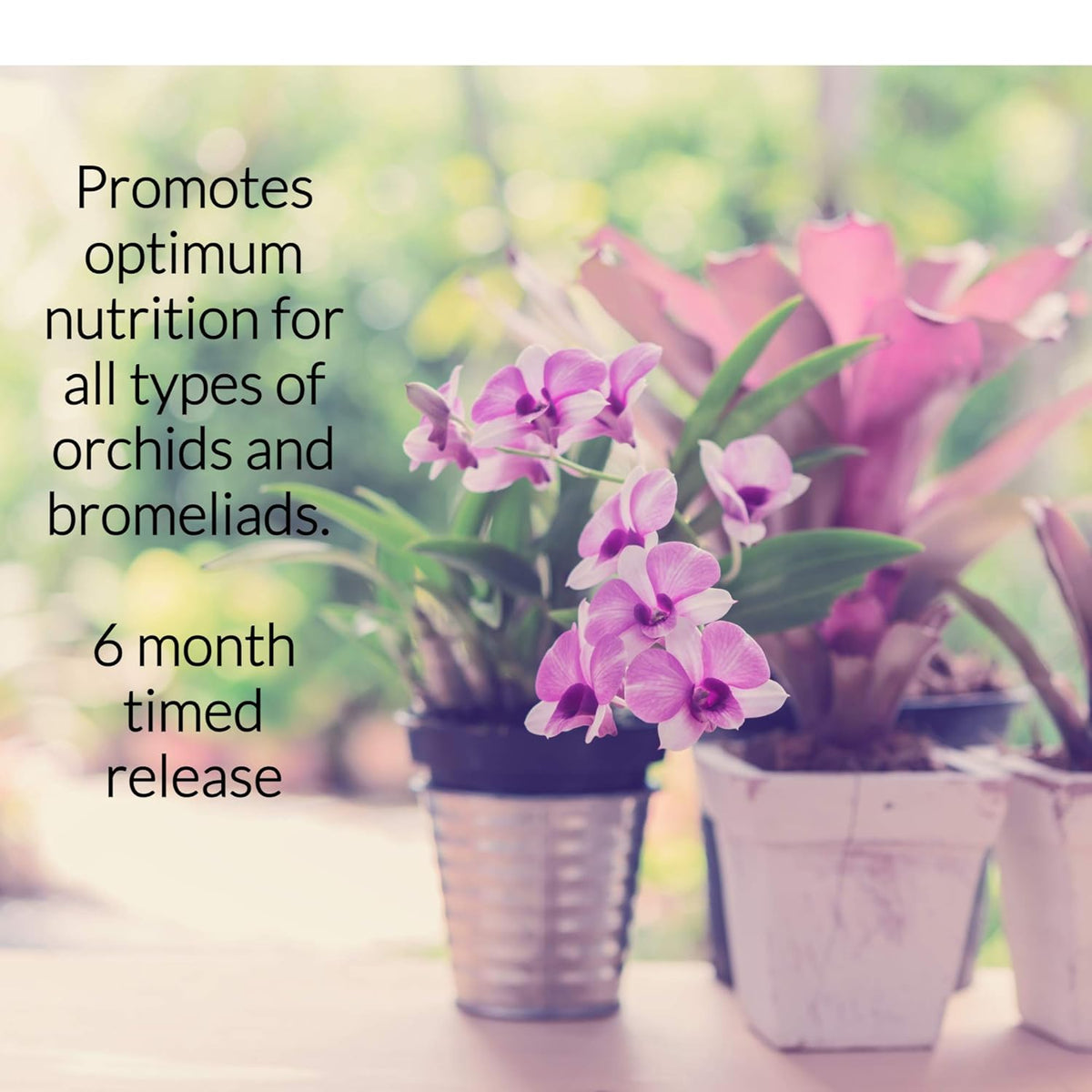Leaves and Soul Orchid Fertilizer Pellets |13-11-11 Slow Release Pellets for Seedlings and Mature