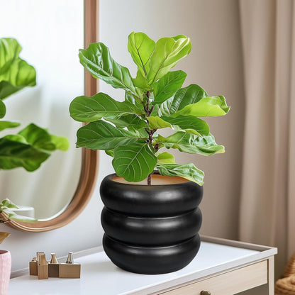 SQOWL Ceramic Pot for Plants 8 Inch - Indoor Plant Pot with Drainage Hole Planter for Outdoor