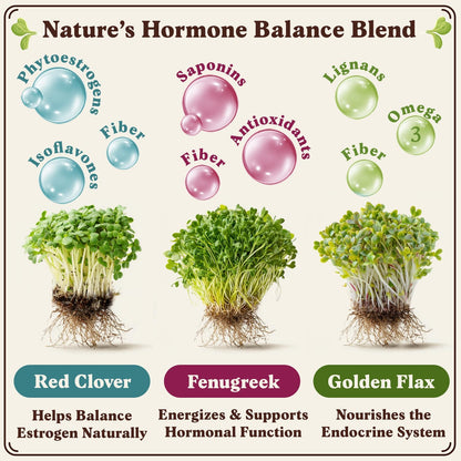 Seedboy Organic Non-GMO Sprouting Seeds, Hormone Balance Blend - USA Grown Microgreens Mix with