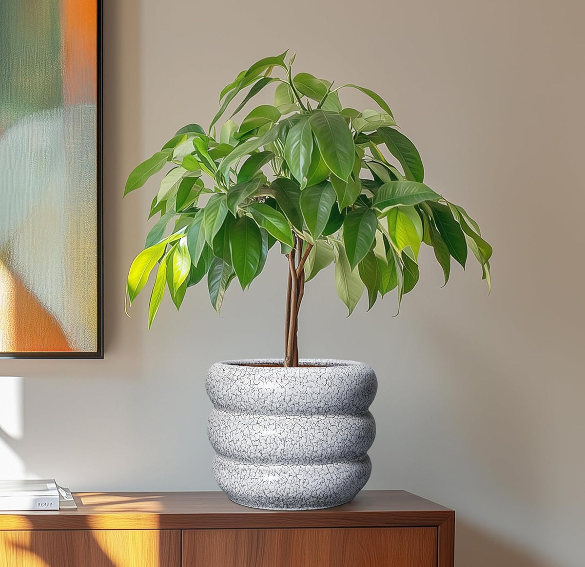 SQOWL Ceramic Pots for Plants - 8 Inch Plant Pot with Drainage Hole, Round Planter for Indoor