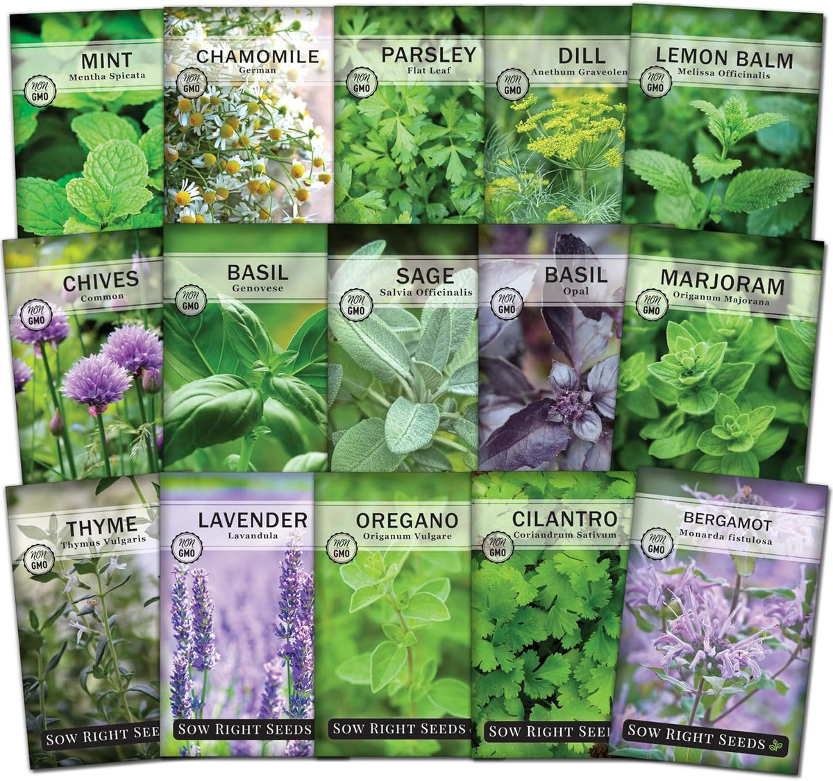 Sow Right Seeds - 15 Herb Garden Seed Collection for Planting - Essential Herbs for Cooking