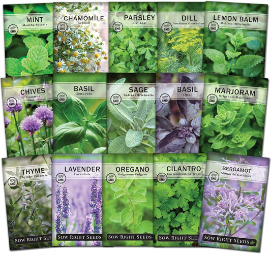 Sow Right Seeds - 15 Herb Garden Seed Collection for Planting - Essential Herbs for Cooking