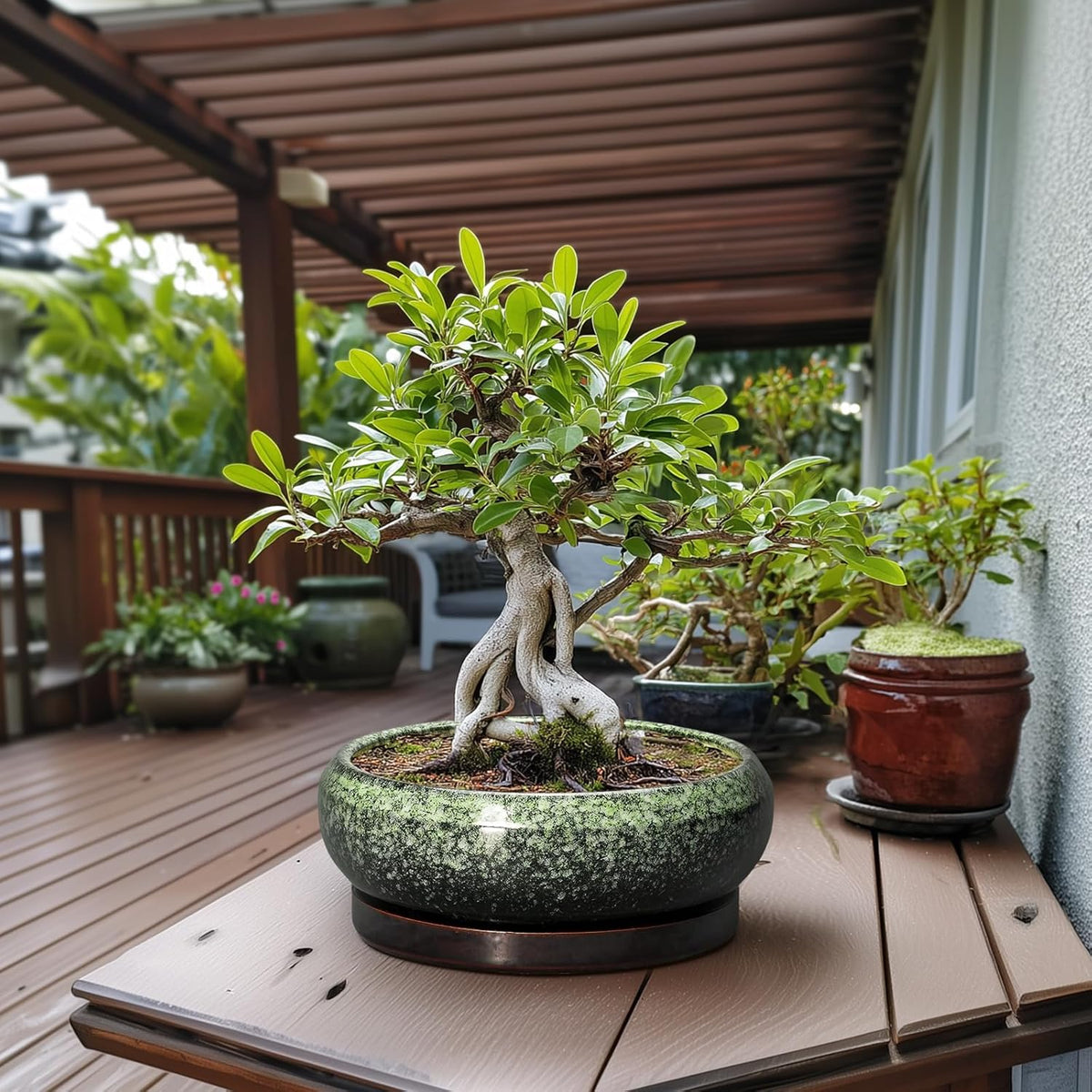Bonsai Pots - 13 Inch Ceramic Succulent Planters Indoor, Round Shallow Planter with Drainage Hole