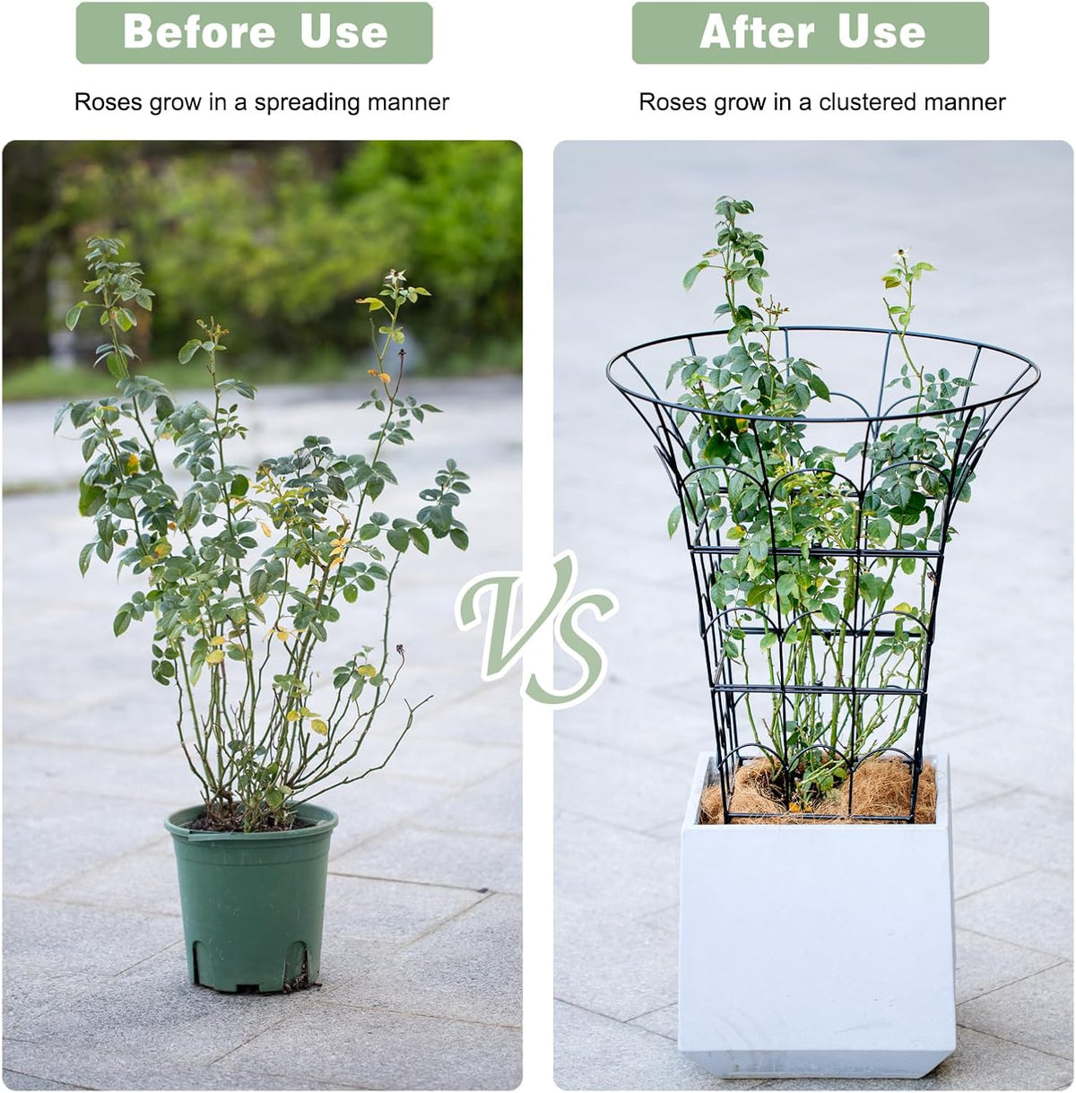 COOOXIM Peony Cages & Supports - Metal Plant Obelisk Trellis for Outdoor Use, 27.5 x 22 Inches
