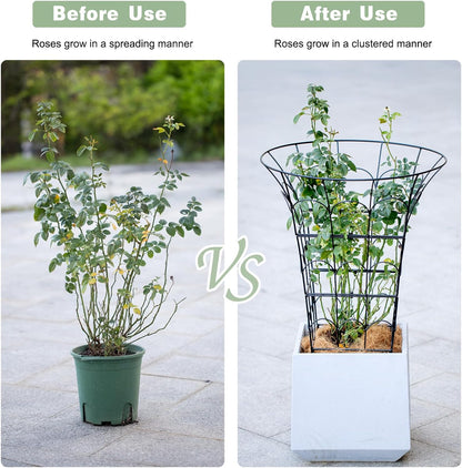COOOXIM Peony Cages & Supports - Metal Plant Obelisk Trellis for Outdoor Use, 27.5 x 22 Inches