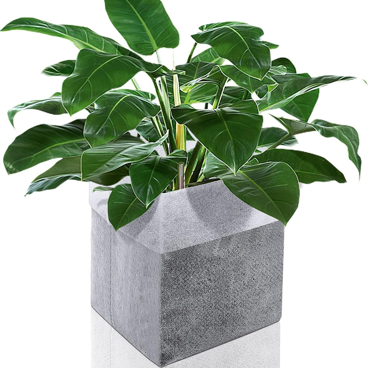 Augshy Nursery Growing Bags, 200Pcs Plant Grow Bags Non-Woven Fabric Seedling Pots Seedling Bags