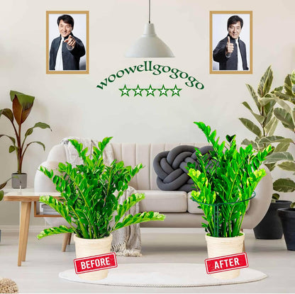 4 Pack Snake Plant Support Stakes, Peony Cages and Supports, Heavy-Duty Plant Stabilizer Support