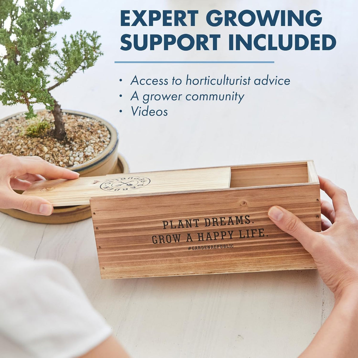 Garden Republic Medium Bonsai Tree Kit, Grow 3 Mini Bonsai Trees, Indoor Plant Growing - Starter