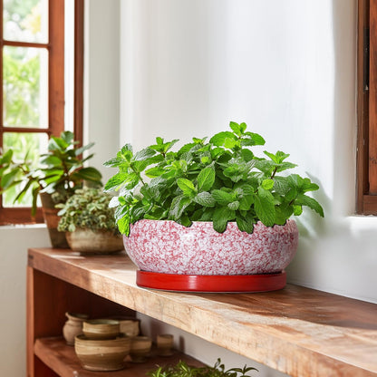 Bonsai Pots 10 Inch - Ceramic Succulent Planters for Indoor Plants Outdoor, Succulent Pots with