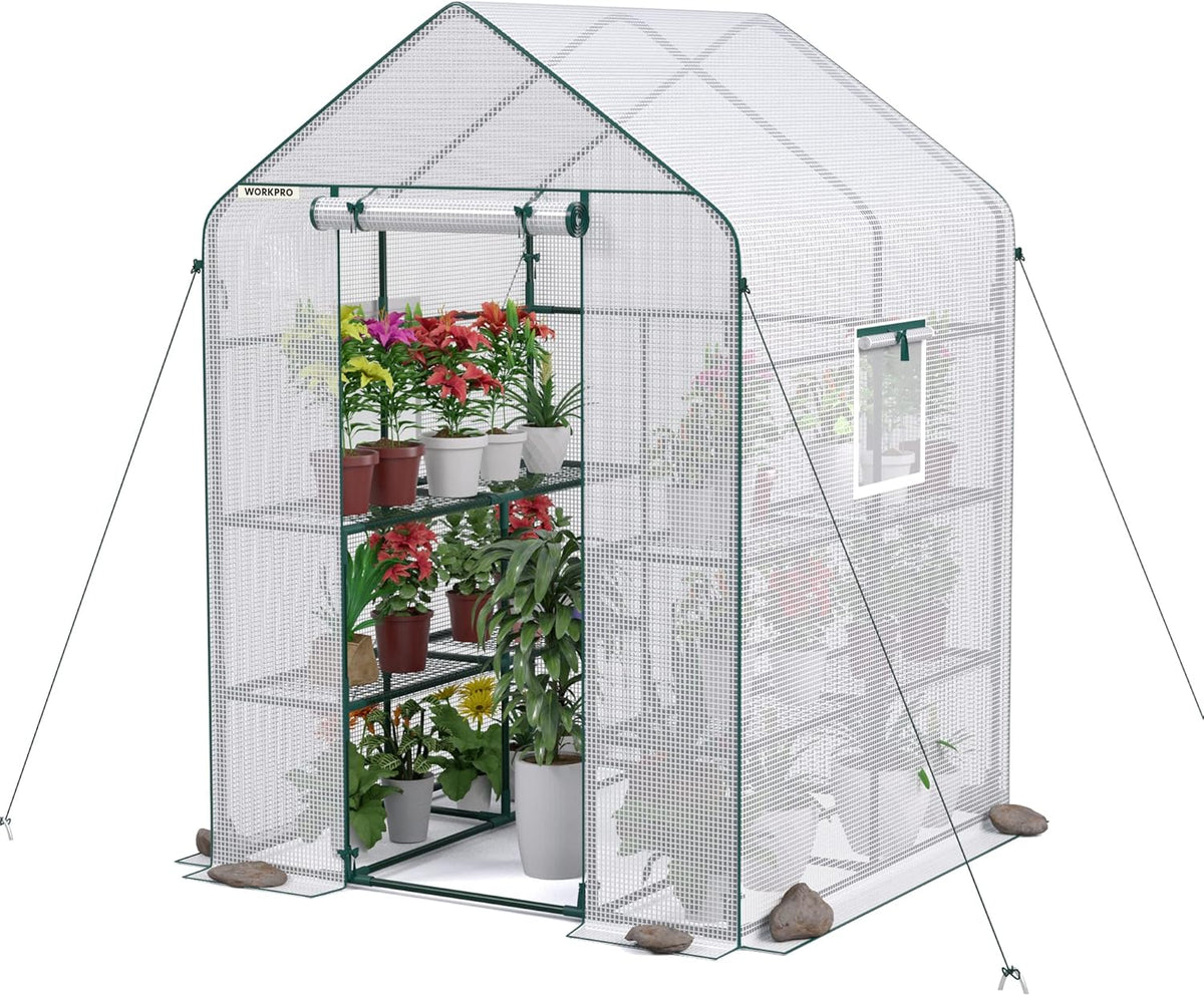 WORKPRO Greenhouse, 56” x 56” x 77” Heavy Duty Walk in Greenhouses for Outdoors with Screen