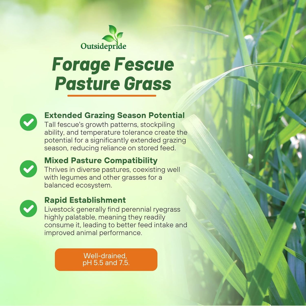 Outsidepride Forage Tall Fescue Grass Seeds - 25 lb. Perennial, Drought-Tolerant & Easy to Grow