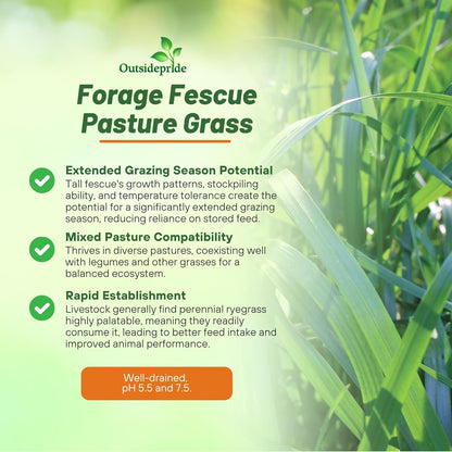 Outsidepride Forage Tall Fescue Grass Seeds - 25 lb. Perennial, Drought-Tolerant & Easy to Grow
