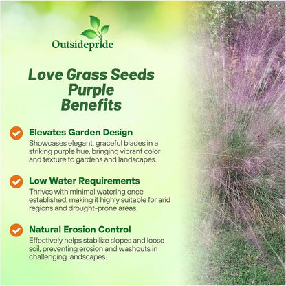 Outsidepride 1000 Seeds Perennial Eragrostis Spectabilis Ornamental Love Grass Seed for Planting