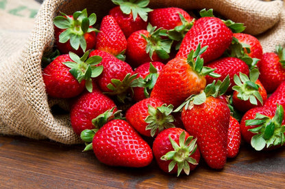 Ruby Royale Strawberry Plants - Grow Giant Strawberries - Bare Root Plants (30 Plants)