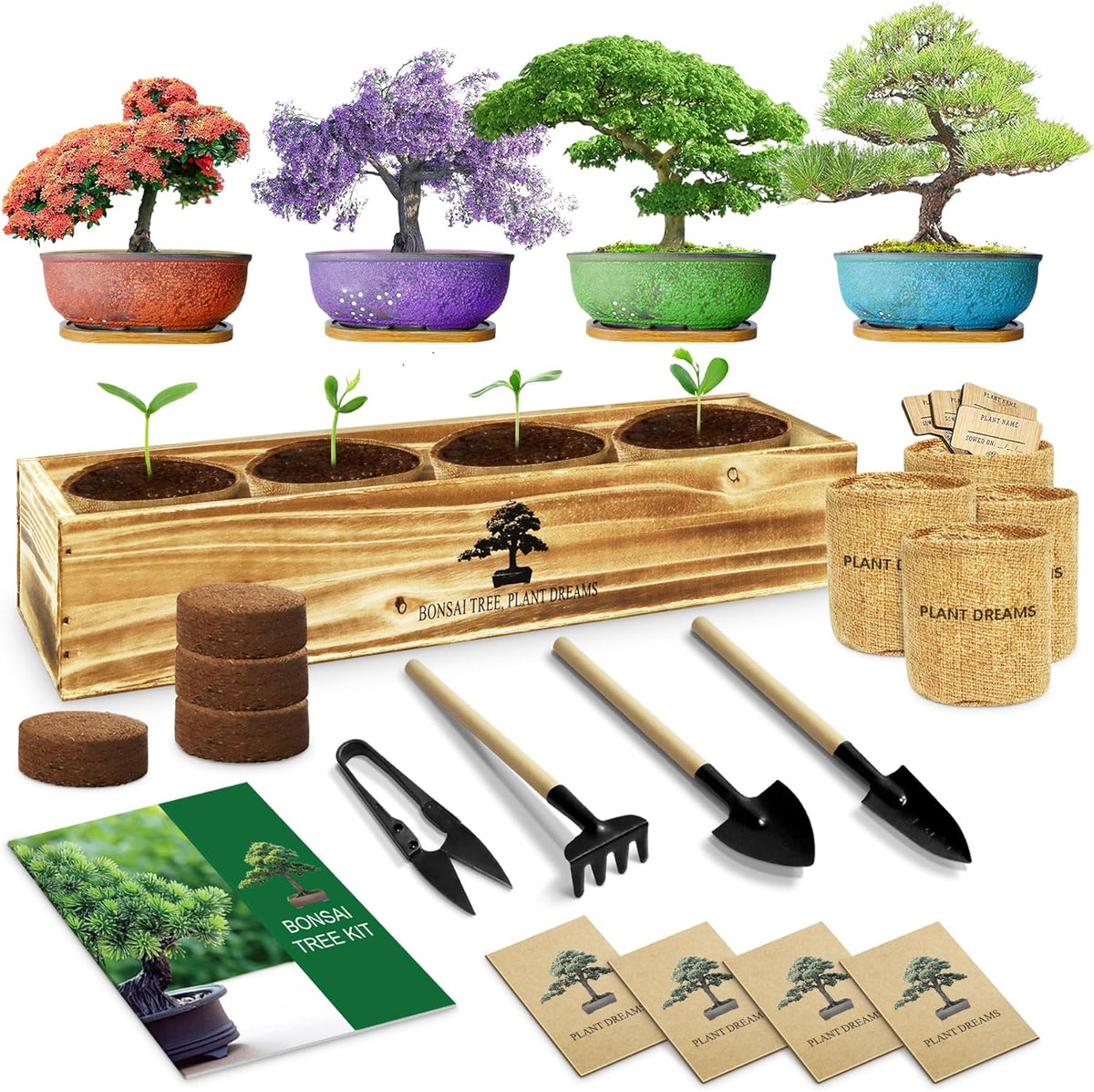 Bonsai Tree Kit, Complete Bonzai Tree Starter Kits with Tools, Unique DIY Gardening Gifts for Mom