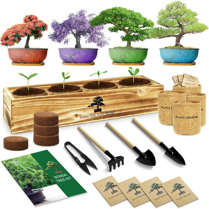 Bonsai Tree Kit, Complete Bonzai Tree Starter Kits with Tools, Unique DIY Gardening Gifts for Mom