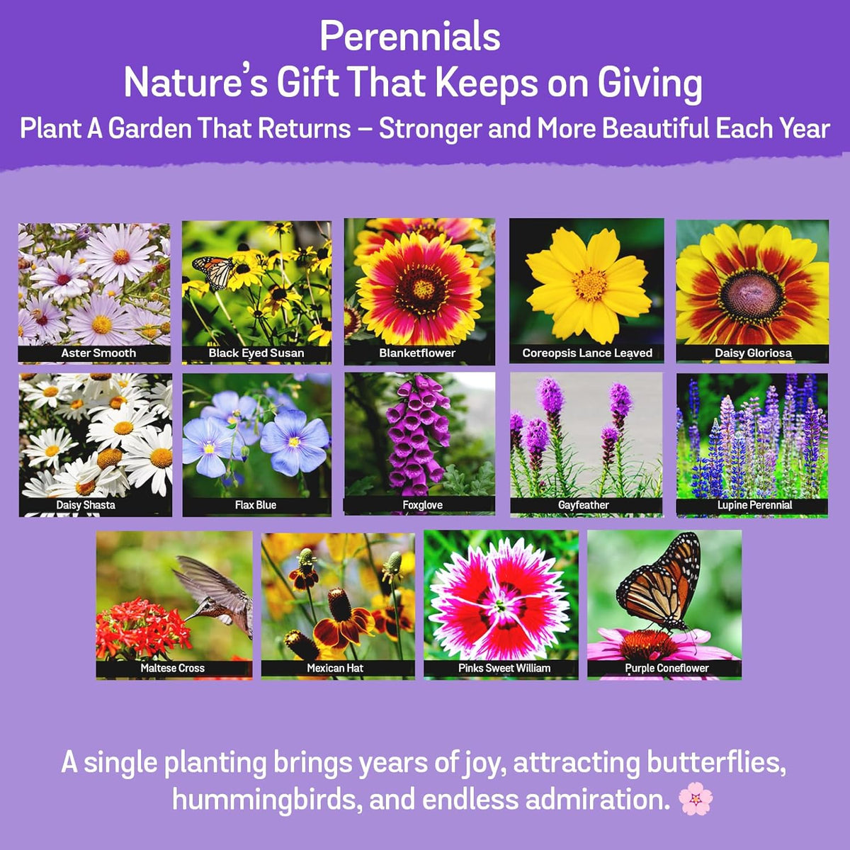 NatureZ Edge Wildflower Seeds Mix – 1/4 lb, 170,000 Seeds, 35 Variety Perennial & Annual Flower