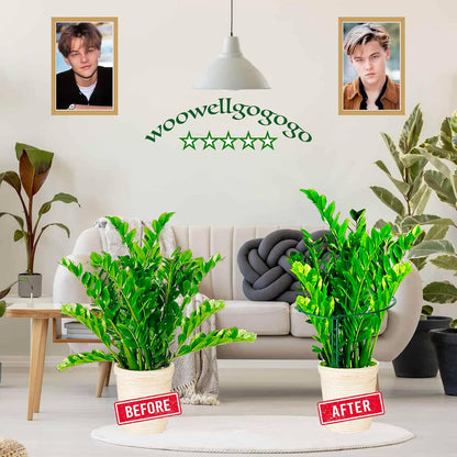 6-Pack Snake Plant Support Stakes, Half-Round Peony Cages and Supports, Green Plant Support Ring