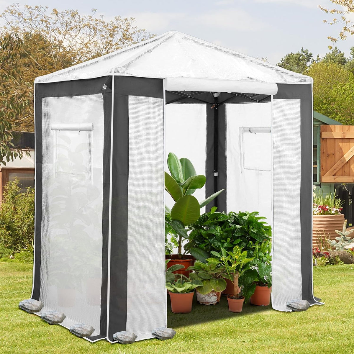 EAGLE PEAK 6x4 Portable Walk in Greenhouse with Polyester Reinforced Corners, Instant Pop up Indoor
