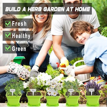 10 Herb Seeds Garden Starter Grow Kit with Green Pots, Markers, Nutritional Soil, Watering, Herb