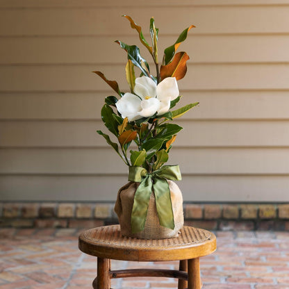 Southern Magnolia Sympathy Gift Tree by The Magnolia Company - Get Beautiful and Fragrant Flowers