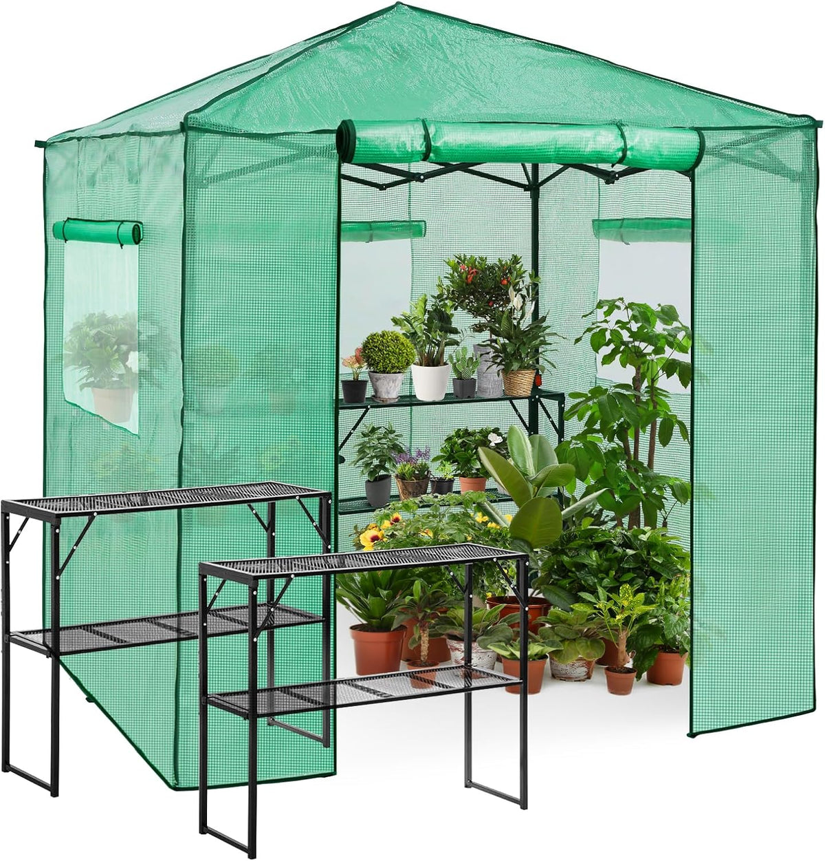 EAGLE PEAK 7x7 Pop up Greenhouse Portable Walk-in Outdoor Gardening Green House with 2 Foldable