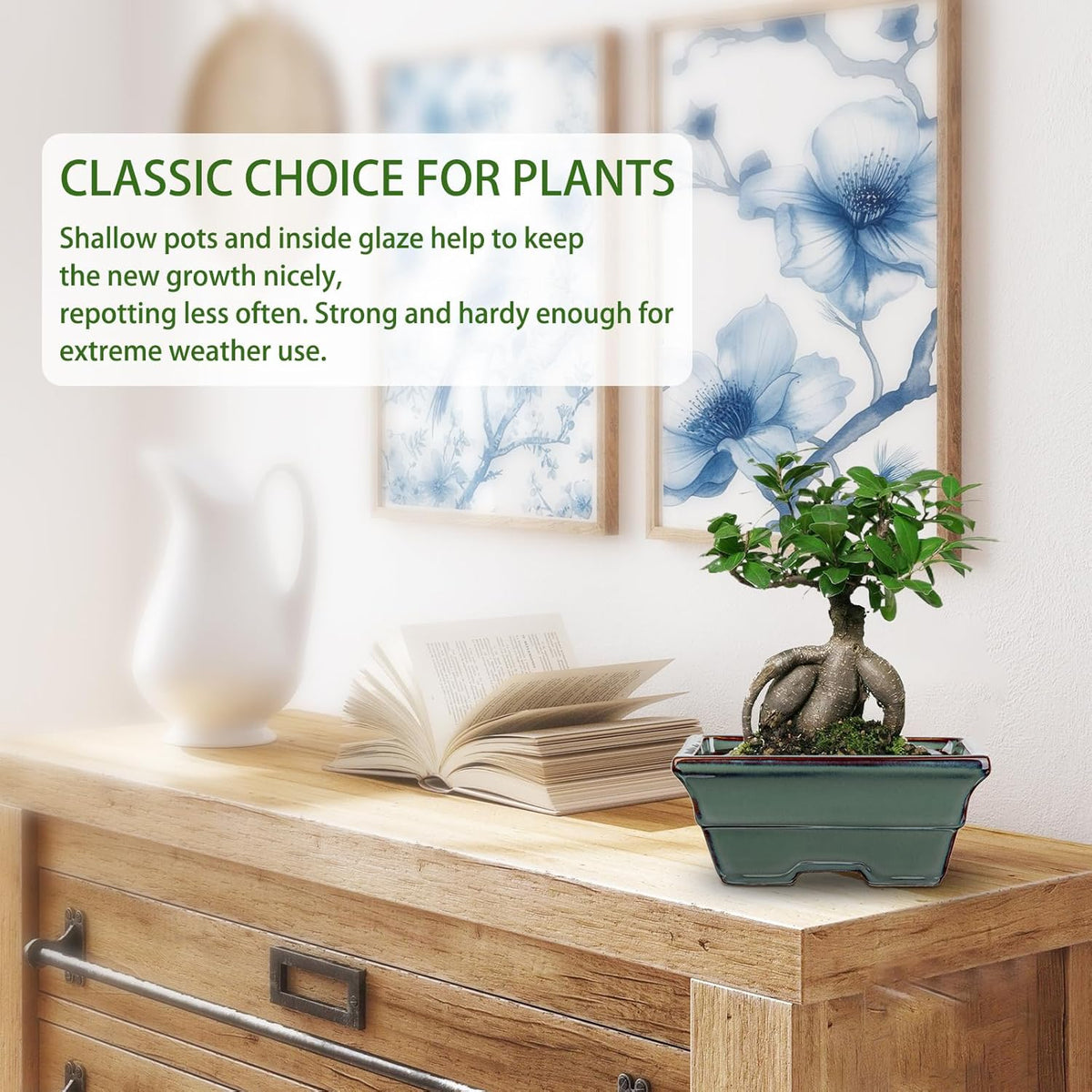 Ceramic Bonsai Pots with Drainage Hole Set of 2, Green Glazed Bonsai Planters for Indoor/Outdoor