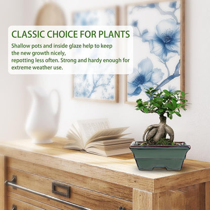 Ceramic Bonsai Pots with Drainage Hole Set of 2, Green Glazed Bonsai Planters for Indoor/Outdoor