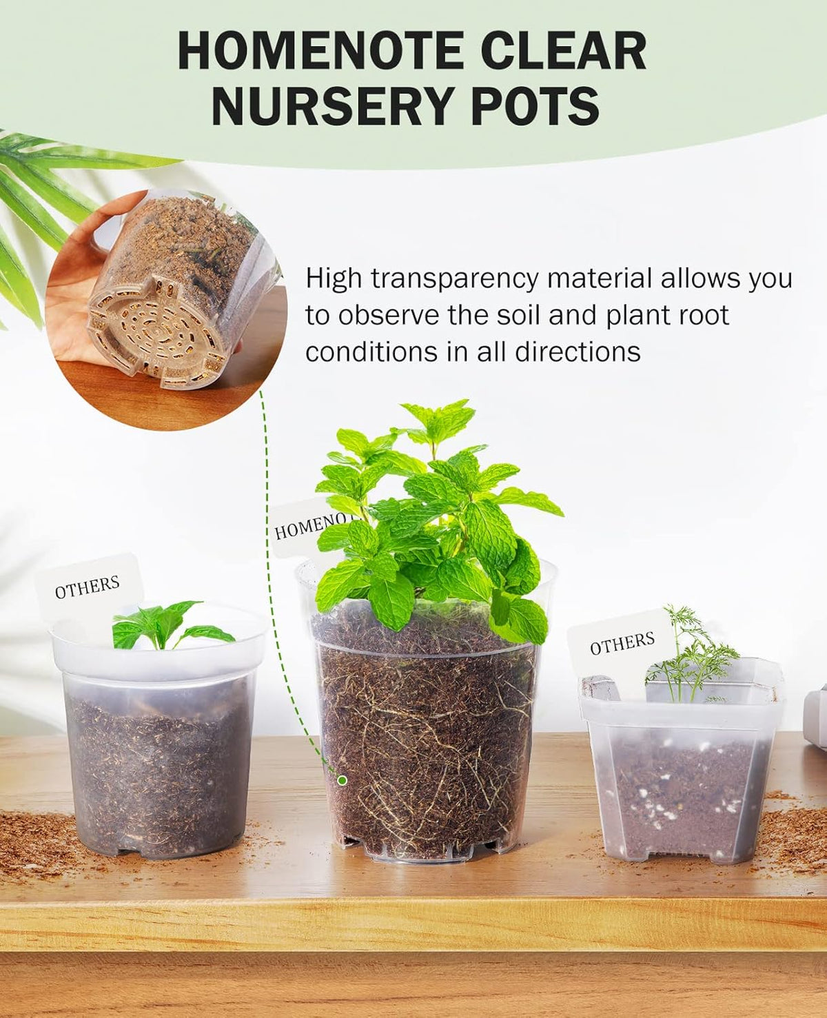 homenote Clear Nursery Pots for Plants,3 Inch Plant Pot for Planting Plastic Seedling with Drainage