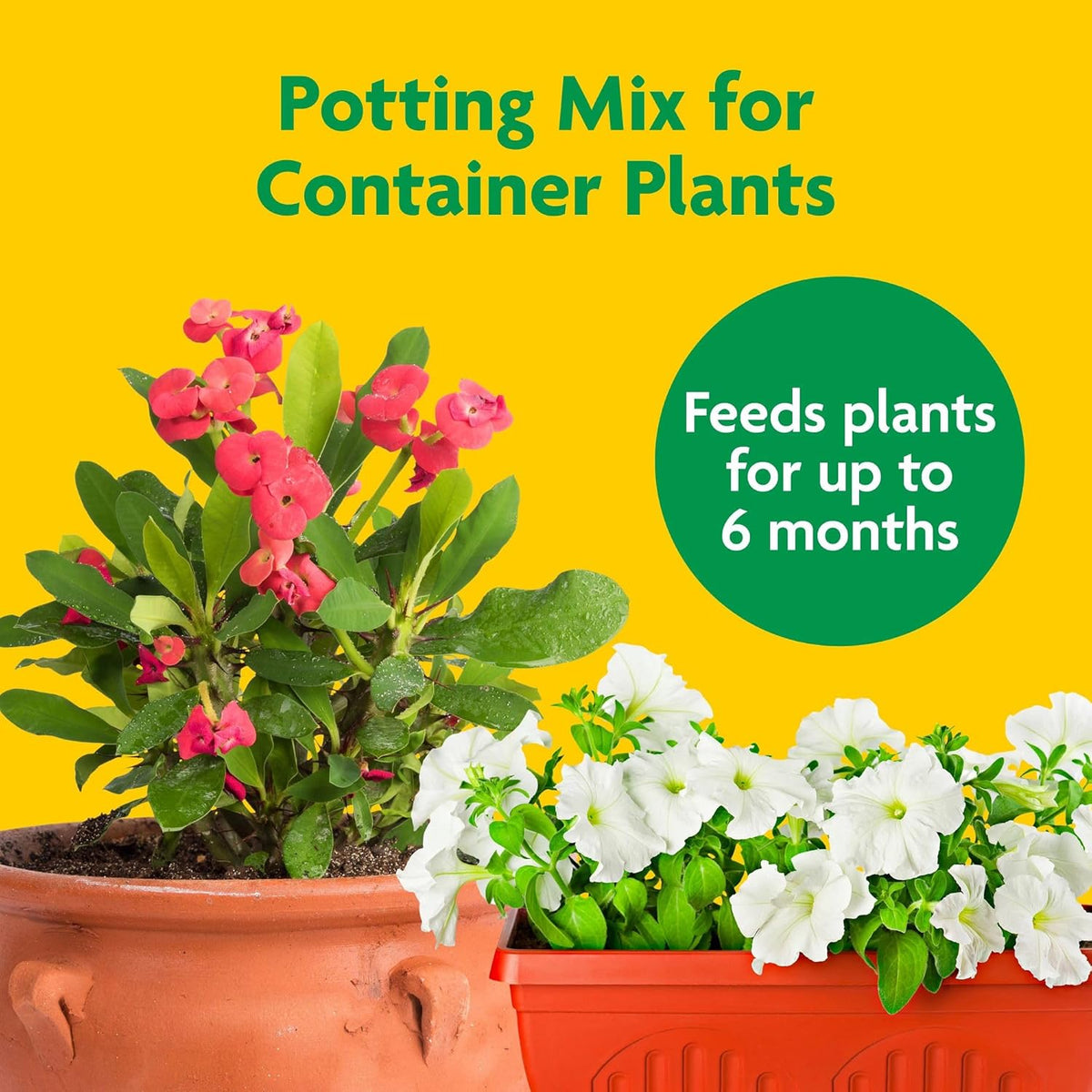 Miracle-Gro Potting Mix, For Container Plants, Flowers, Vegetables, Shrubs, Annuals, Perennials