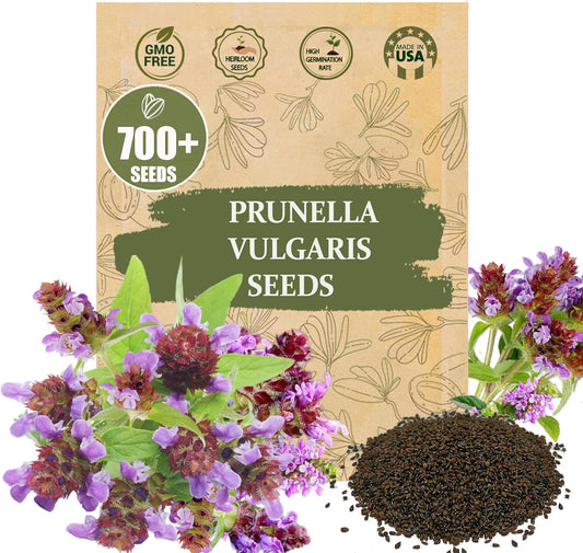 Premium Prunella Vulgaris Seeds - 700+ Non-GMO Self Heal Herb Seeds for Planting - Heirloom