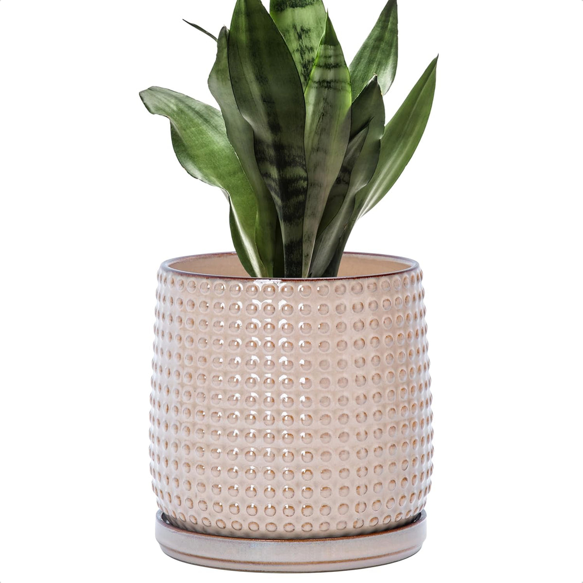 D'vine Dev 6 Inch Ceramic Beaded Stoneware Planter Pot - Flower Pot with Drainage Holes and Saucers
