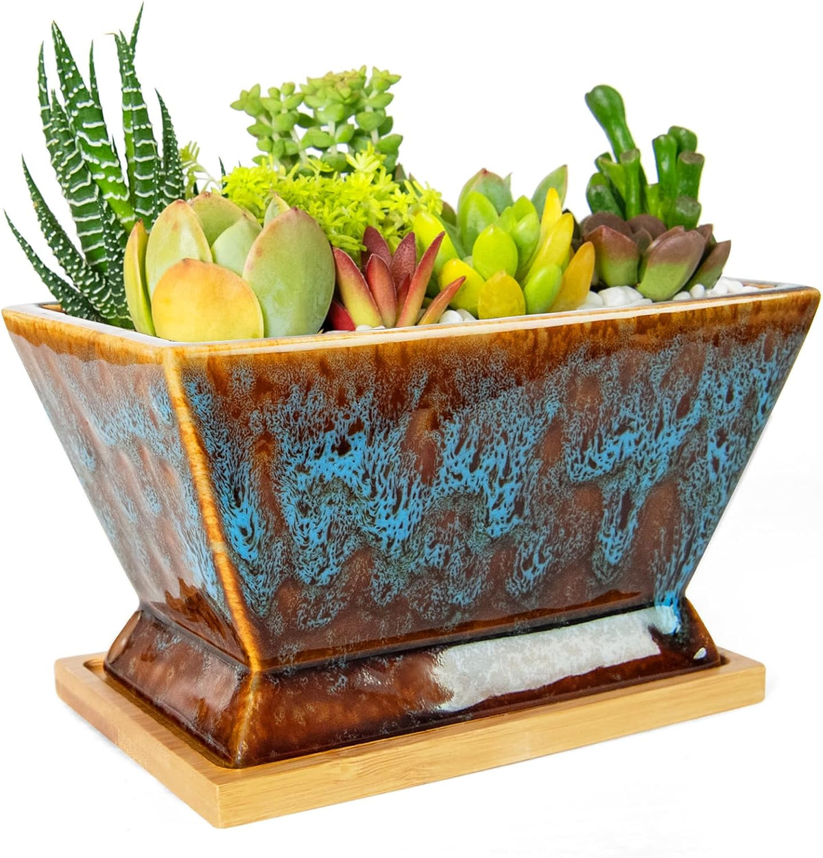 ARTKETTY Succulent Pots - 7 Inch Large Plant Pot with Drainage Tray, Shallow Ceramic Pots for