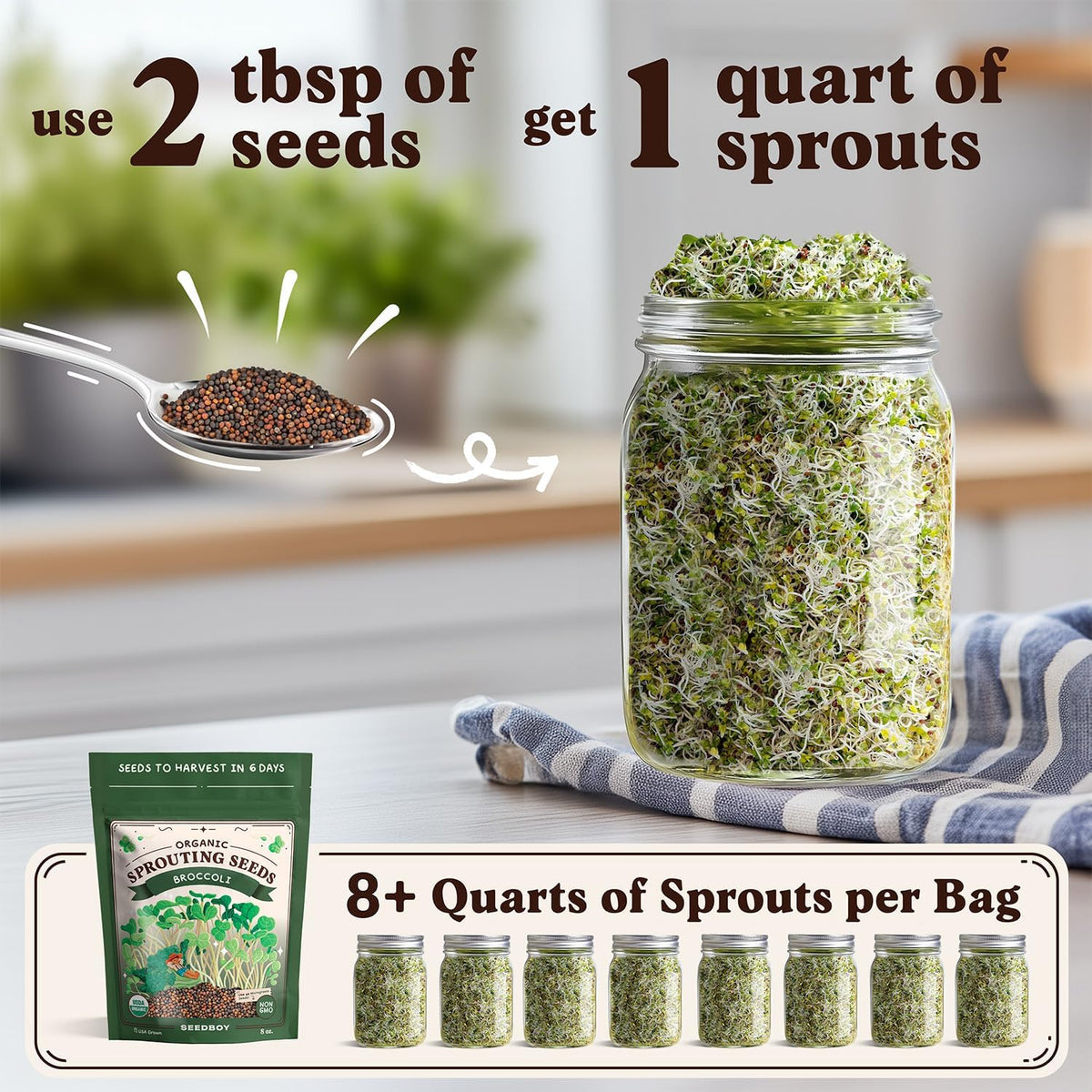 Seedboy Organic Non-GMO Broccoli Seeds for Sprouting - USA Grown Microgreens Sprouting Seeds - 8 oz