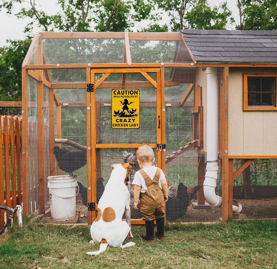 Funny Chicken Gifts Caution Area Patrolled By A Crazy Chicken Lady Tin Sign for Home Farm Chicken