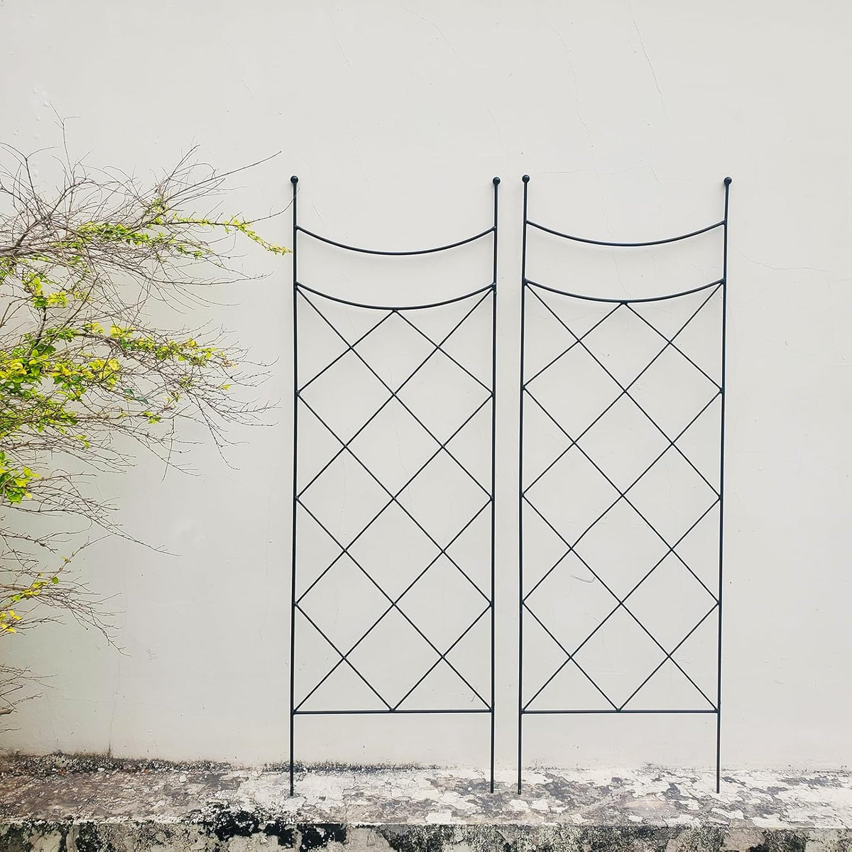 45.3" H x 15" W Metal Garden Trellis for Climbing Plants, Black Iron Trellis for Vines Plant Rose