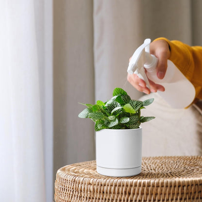 D'vine Dev 3.5 Inch Ceramic Planter Pot with Drainage Hole and Saucer, Indoor Cylinder Round