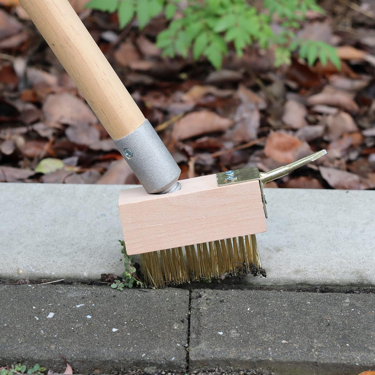 SCRUBIT Moss & Weed Remover Wired Grout Cleaner Brush, Great for Cleaning Decks, Pavers, Patios &