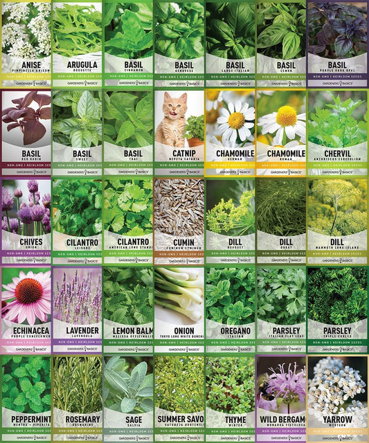 35 Medicinal & Culinary Herb Seeds Variety Pack – Heirloom Non-GMO Garden Kit for Indoor, Outdoor