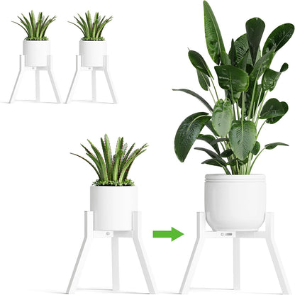 Adjustable Plant Stands Set of 2, Metal Modern Small Plant Holder, Heavy Duty Stable Flower Holder